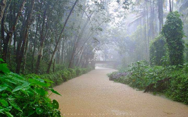 nagercoil-rain