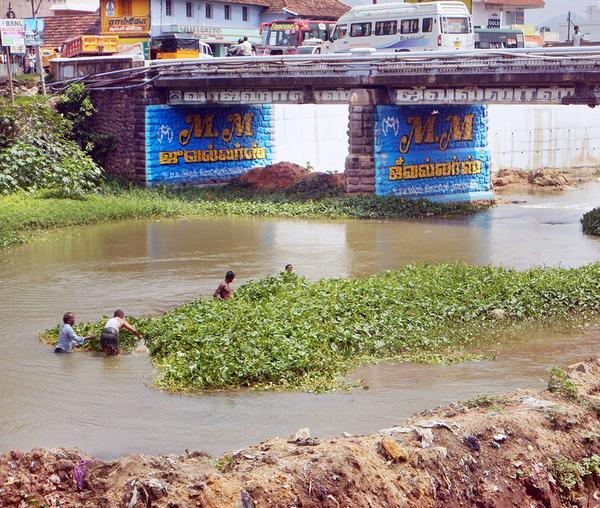 Pazhayarriver-cleaning-intach