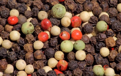 How amazing the benefits of Pepper(மிளகு) in healing ailments?
