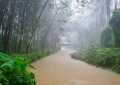 Heavy rain in kanyakumari district