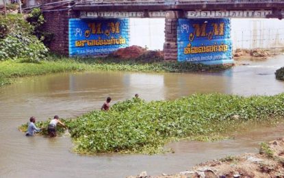 Kanyakumari : INTACH volunteers clean Pazhayar river